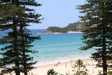 Manly Beach