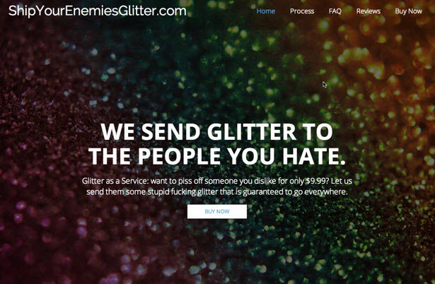 ship your enemies glitter landing page experience