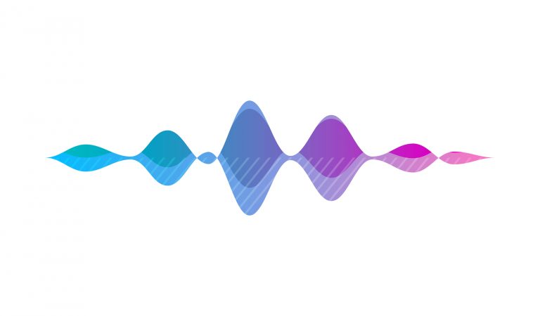 Voice Recognition Wave